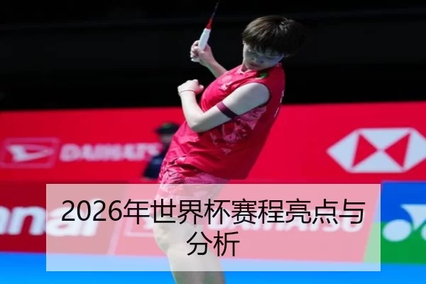 2026年世界杯赛程亮点与分析